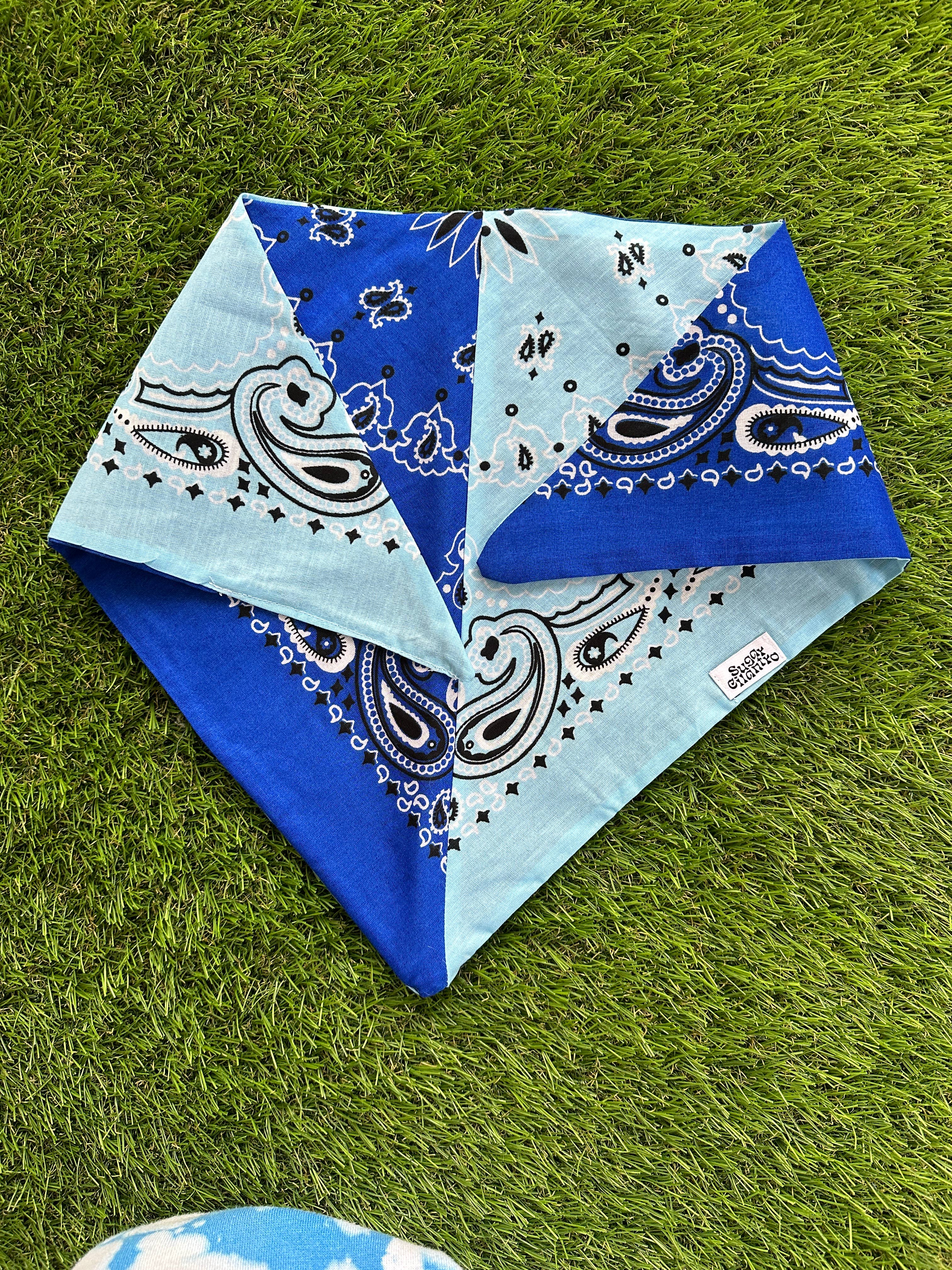 Game Day Colorblocked Bandana