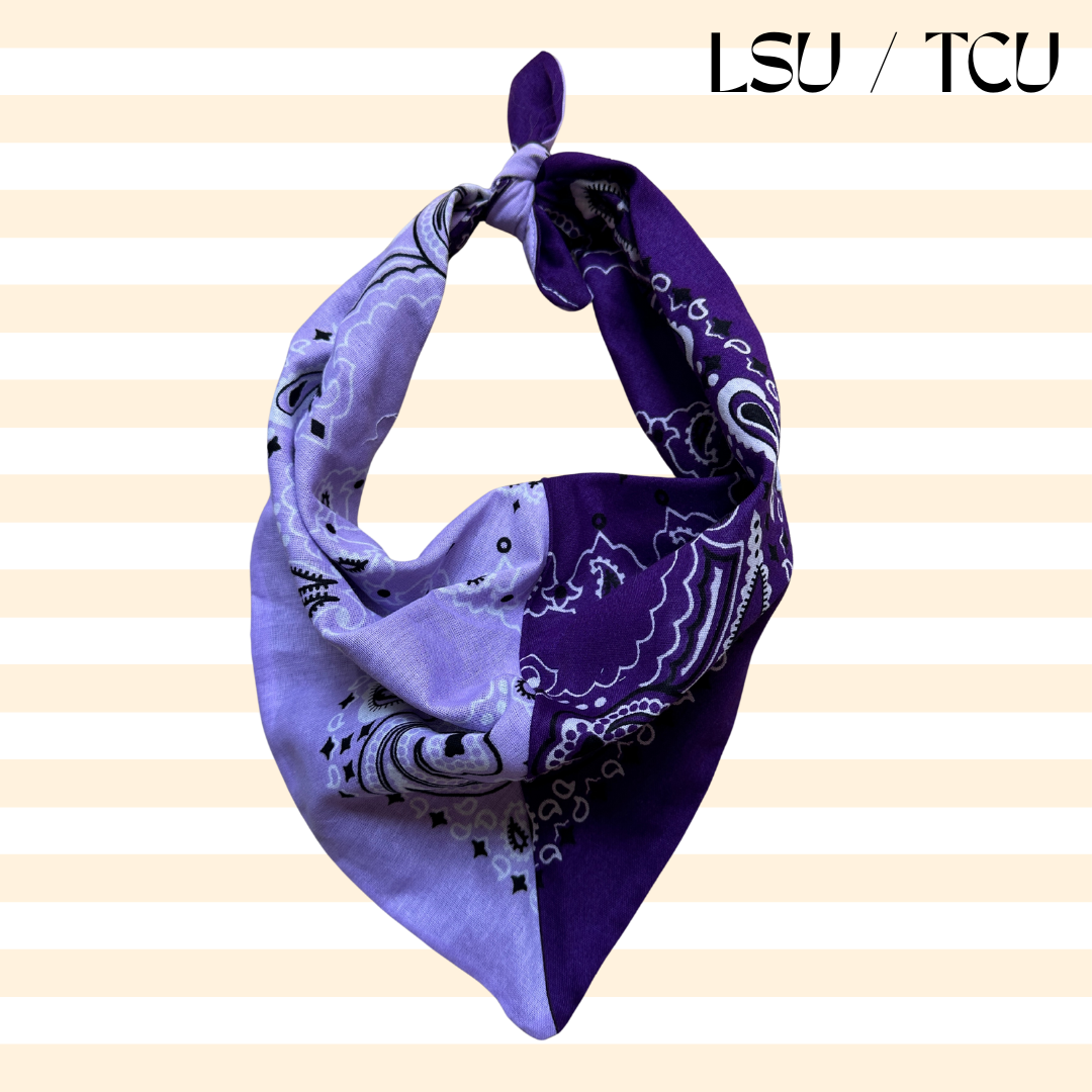 Game Day Colorblocked Bandana