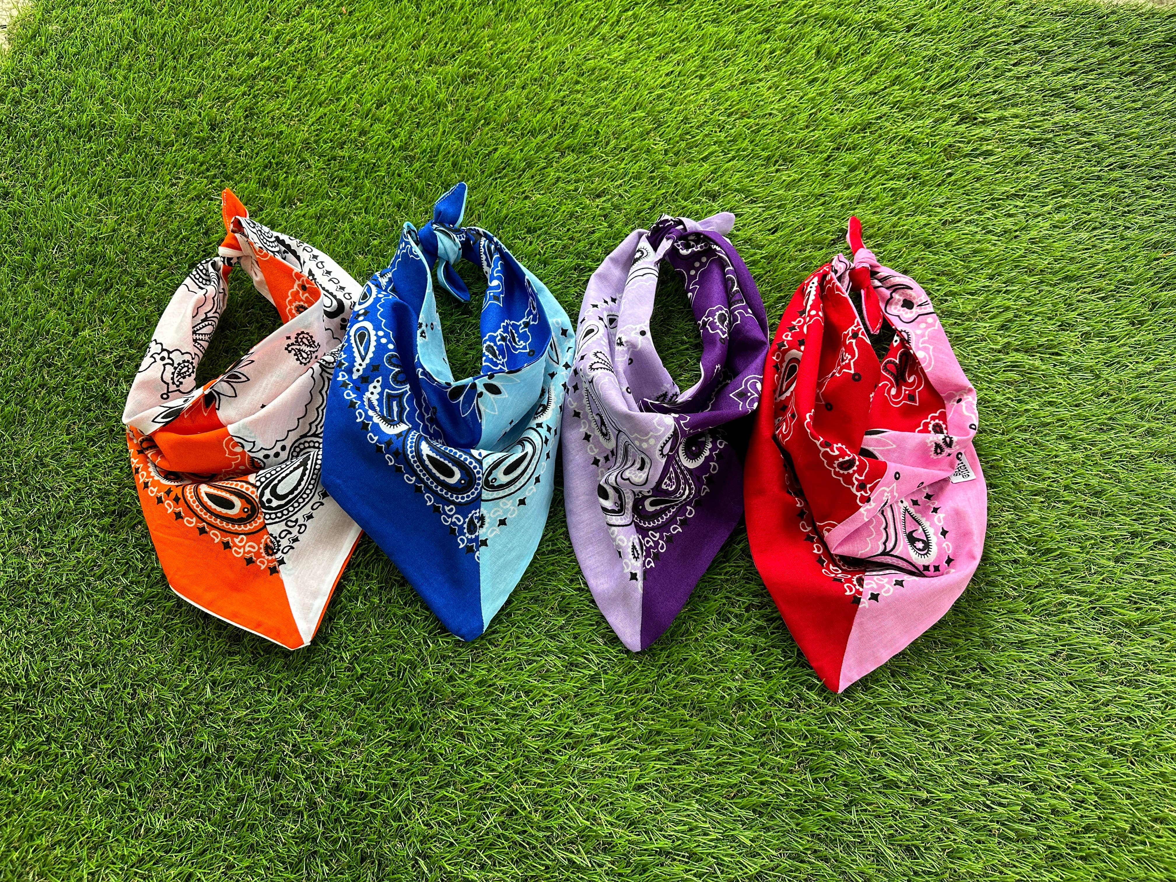 Game Day Colorblocked Bandana