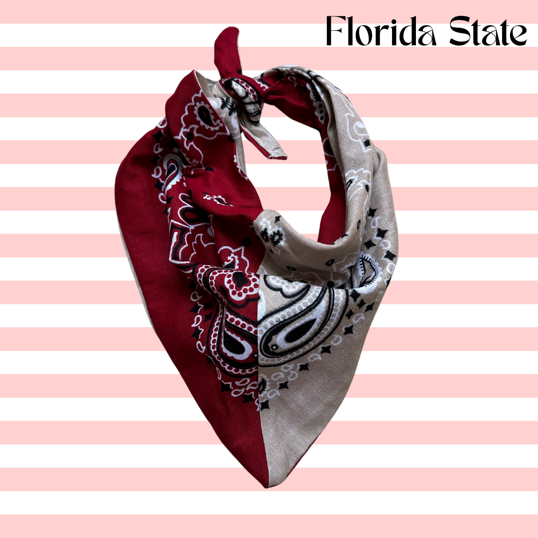 Game Day Colorblocked Bandana