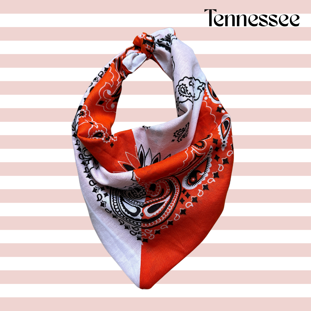 Game Day Colorblocked Bandana