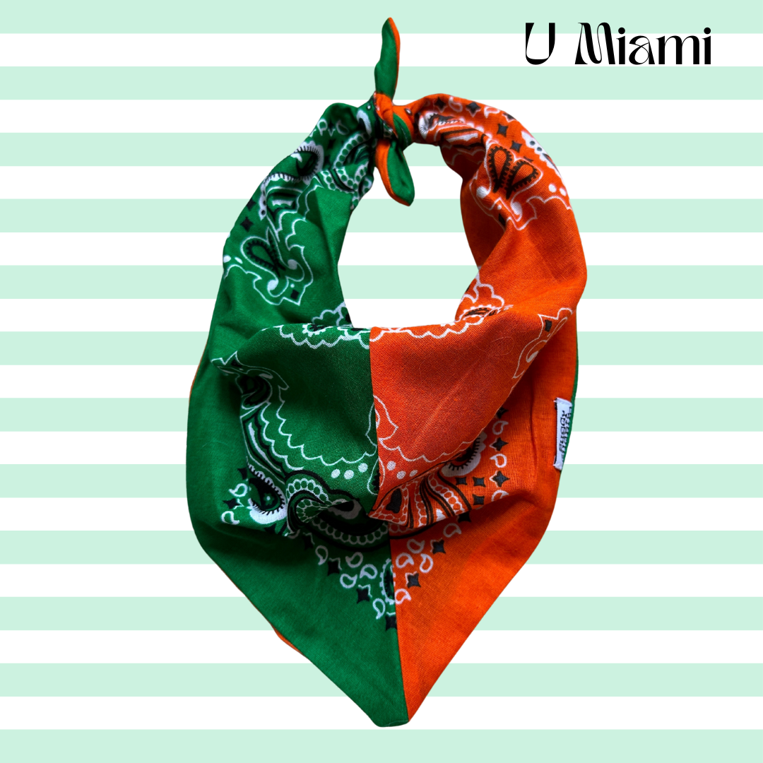 Game Day Colorblocked Bandana