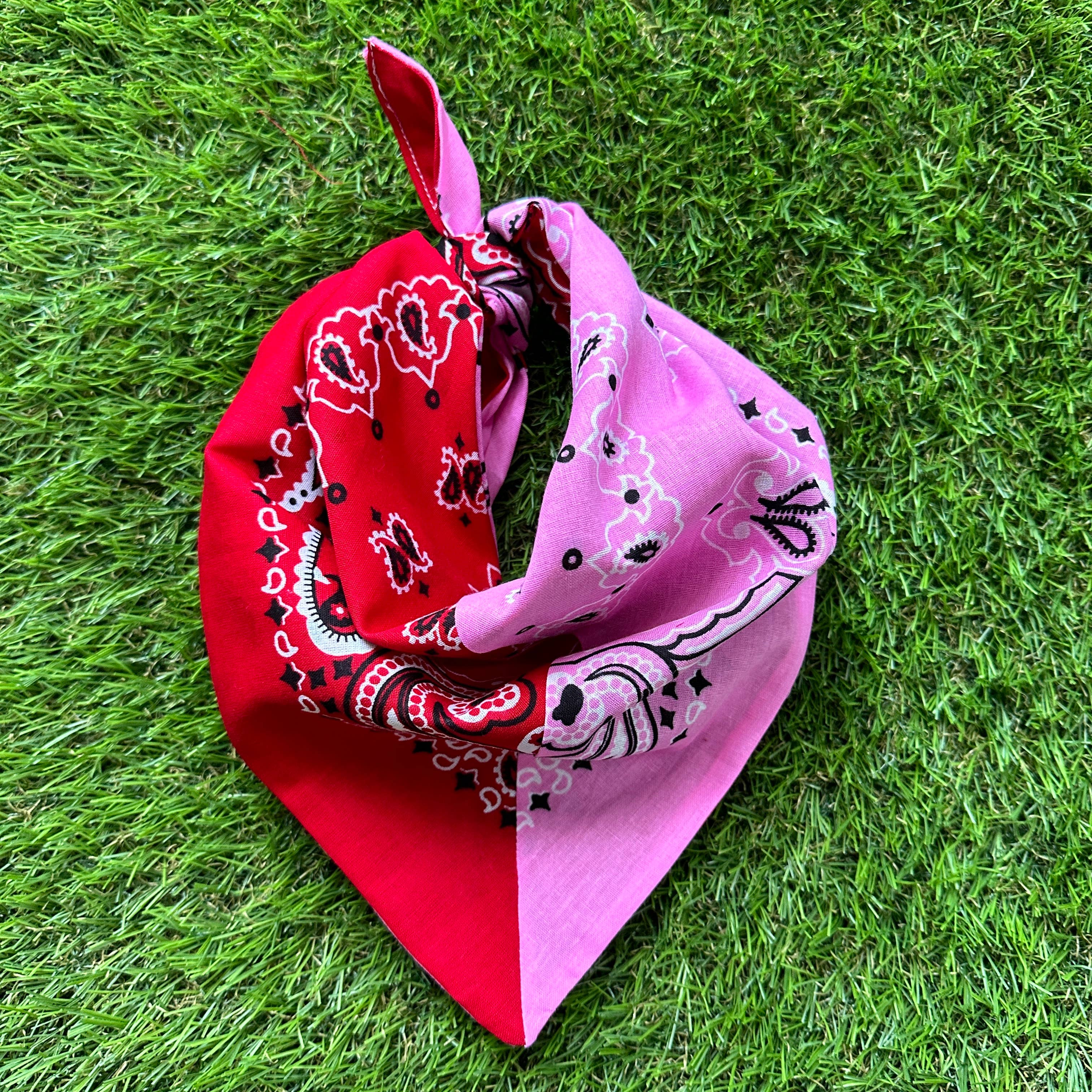 Game Day Colorblocked Bandana