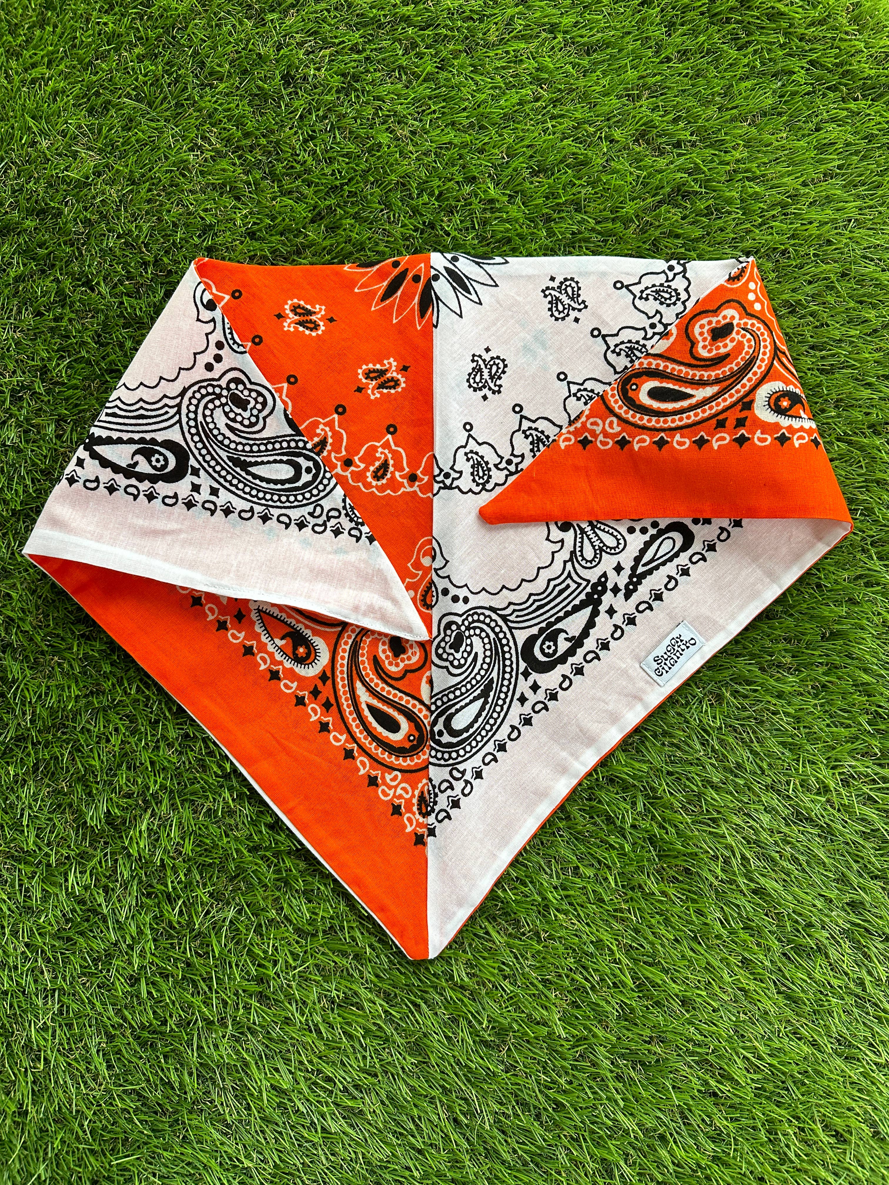 Game Day Colorblocked Bandana