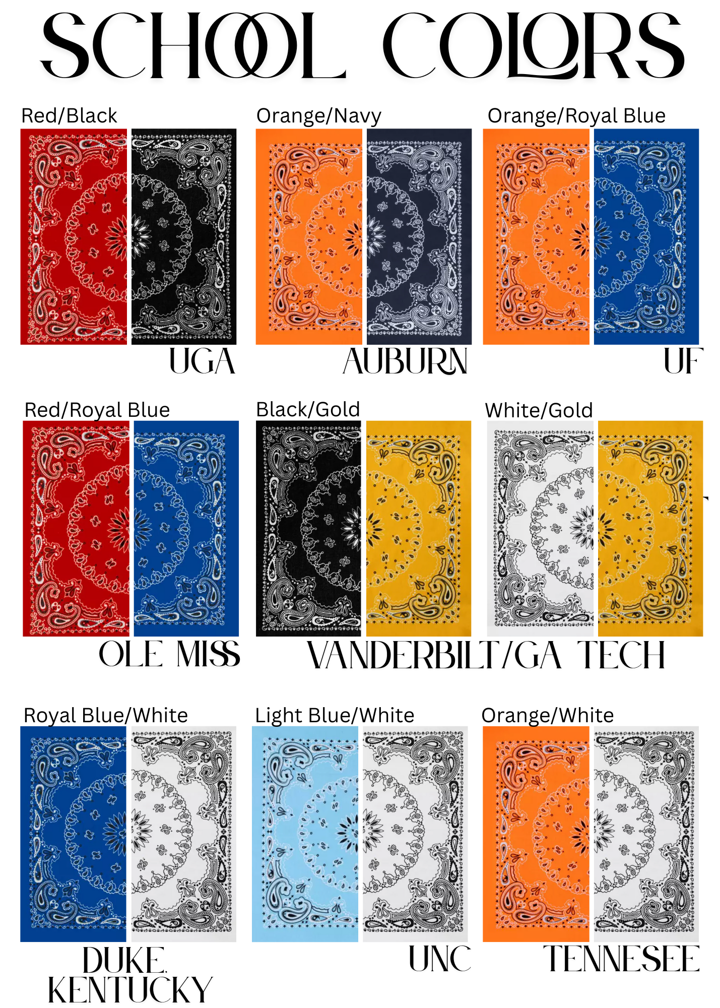 Game Day Colorblocked Bandana